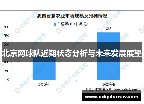 北京网球队近期状态分析与未来发展展望