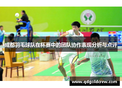 成都羽毛球队在杯赛中的团队协作表现分析与点评