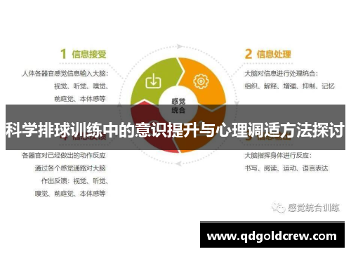 科学排球训练中的意识提升与心理调适方法探讨